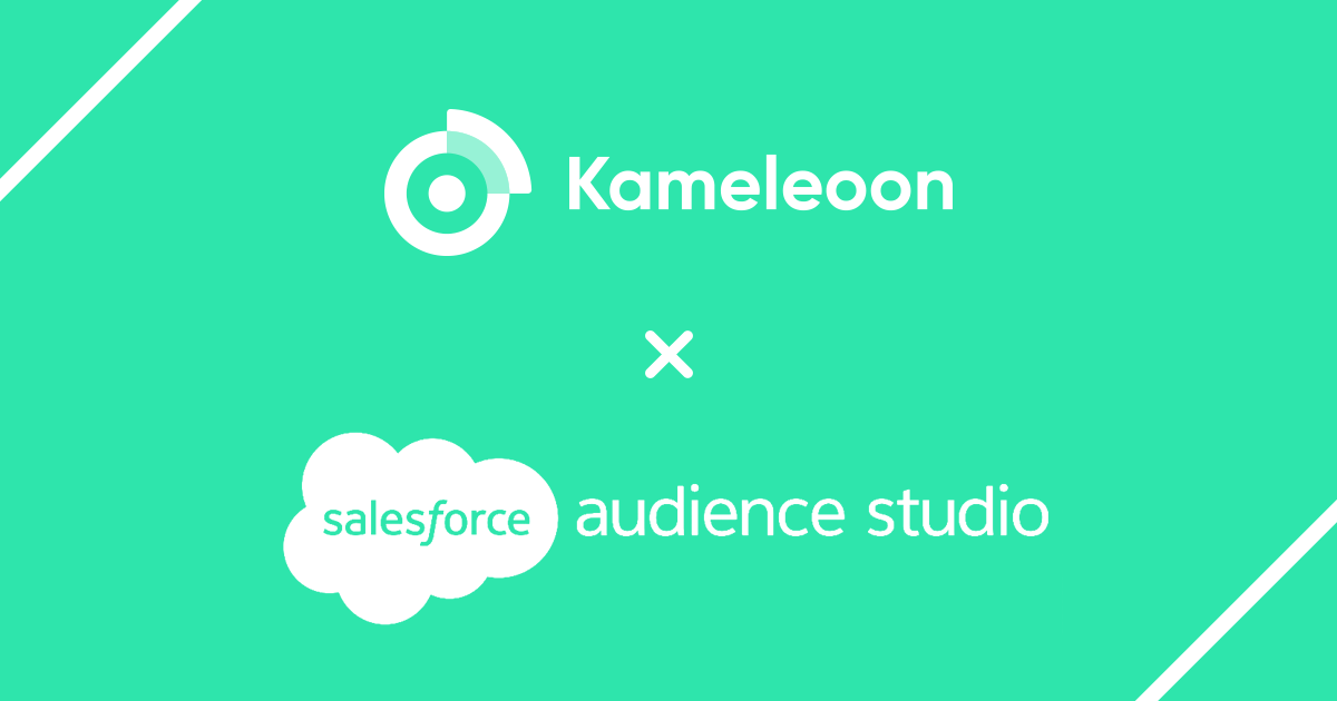 Kameleoon and Salesforce Audience Studio DMP | Kameleoon