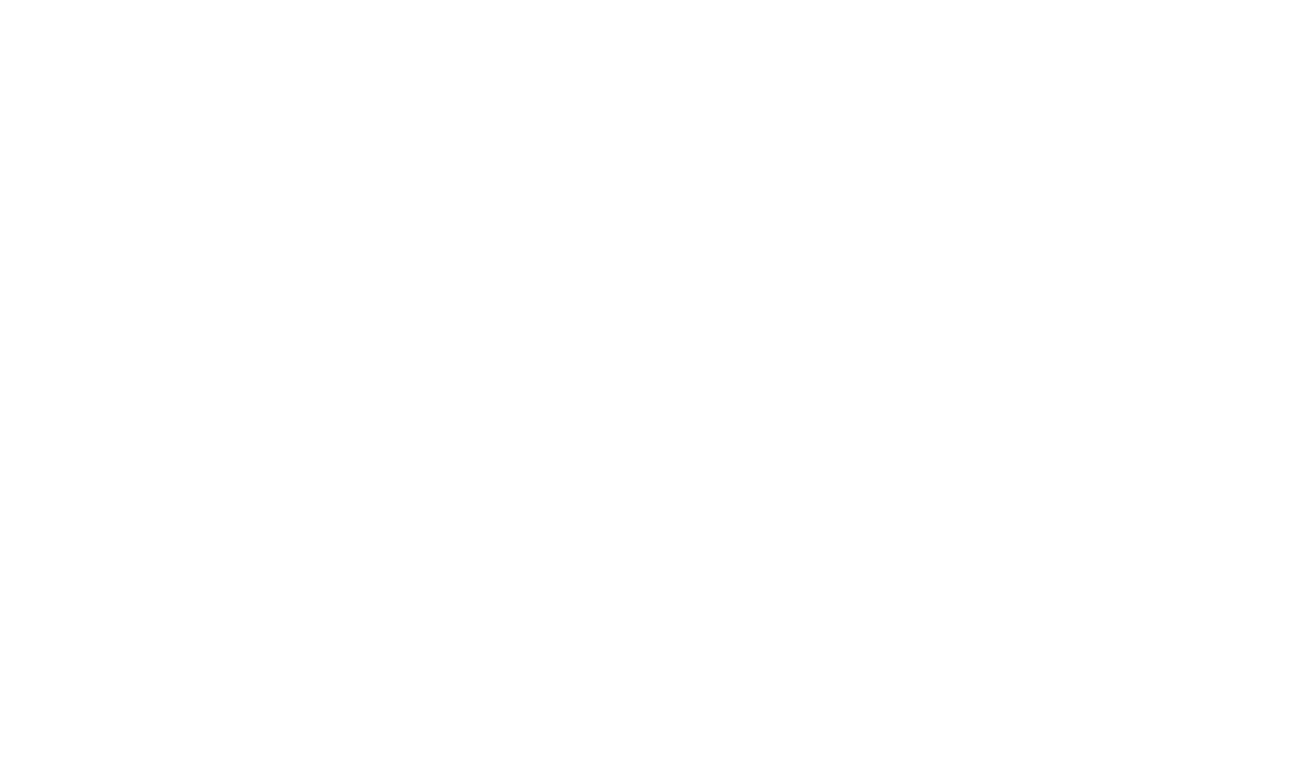 Berner Logo