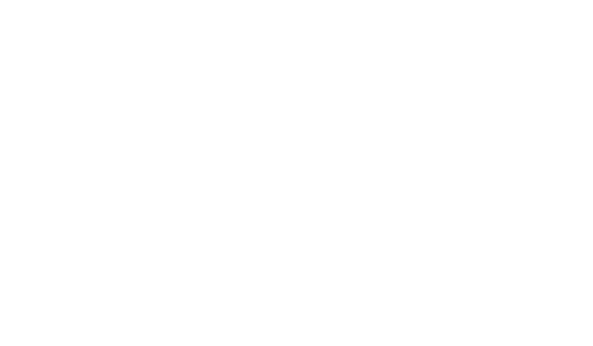 Sallys Shop Logo