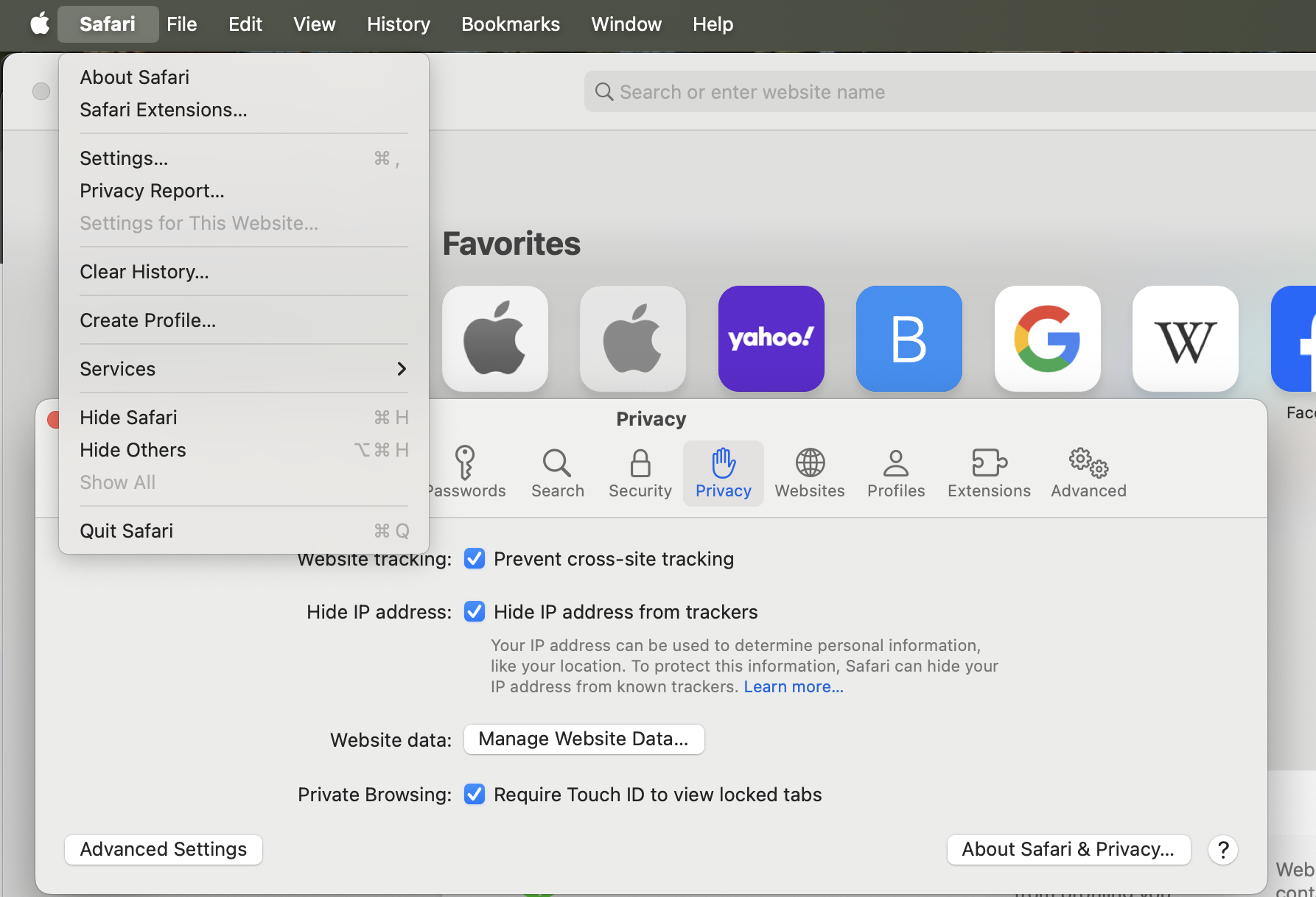 What are internet cookies? View and change privacy settings on Safari.