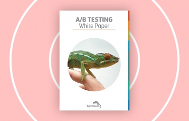 AB-Testing White Paper DE