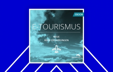 e-Tourismus ebook